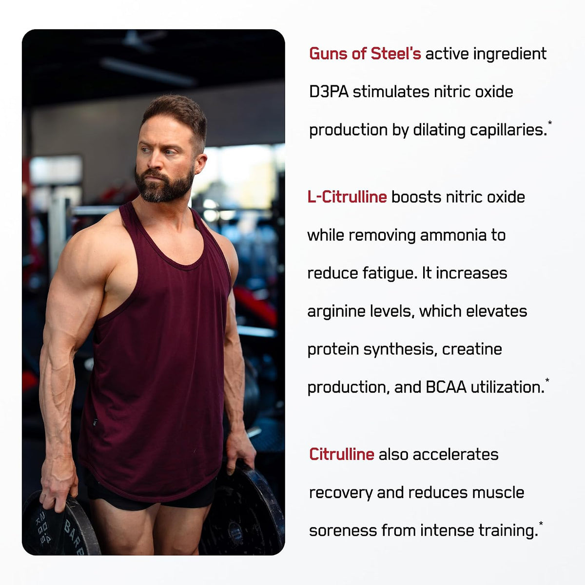 SteelFit Guns of Steel Pre-Workout Topical Pump Enhancing Liquid | 30-45 Days of Supply - Nitric Oxide Supplement with L-Citrulline & L-Arginine for Bodybuilding & Accelerated Recovery