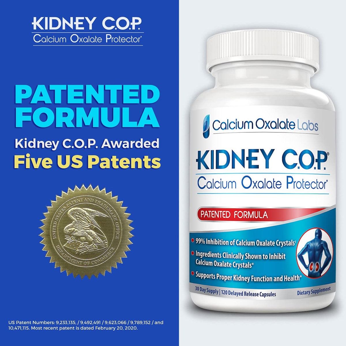 KIDNEY C.O.P. Calcium Oxalate Protector 120 Capsules, Patented Kidney Support for Calcium Oxalate Crystals, Stop Recurrence