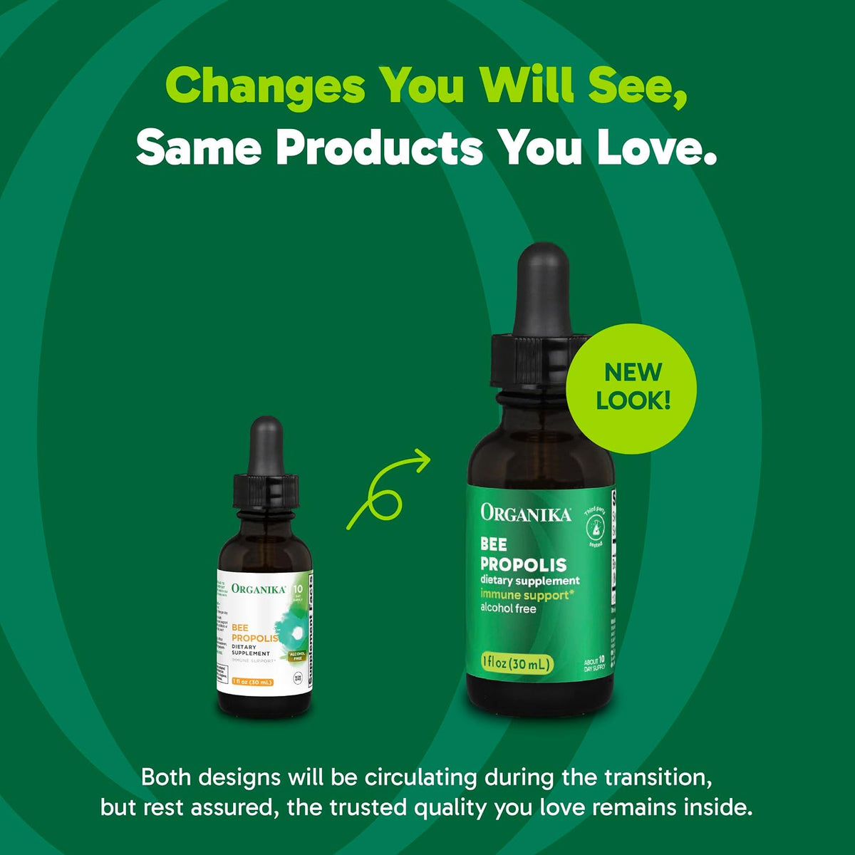 Organika Bee Propolis Tincture 1 oz: Vegan Propolis Extract - Throat and Breathing - Free of Gluten, GMO, & Artificial Flavors - 10 Day Prop Drops Supply