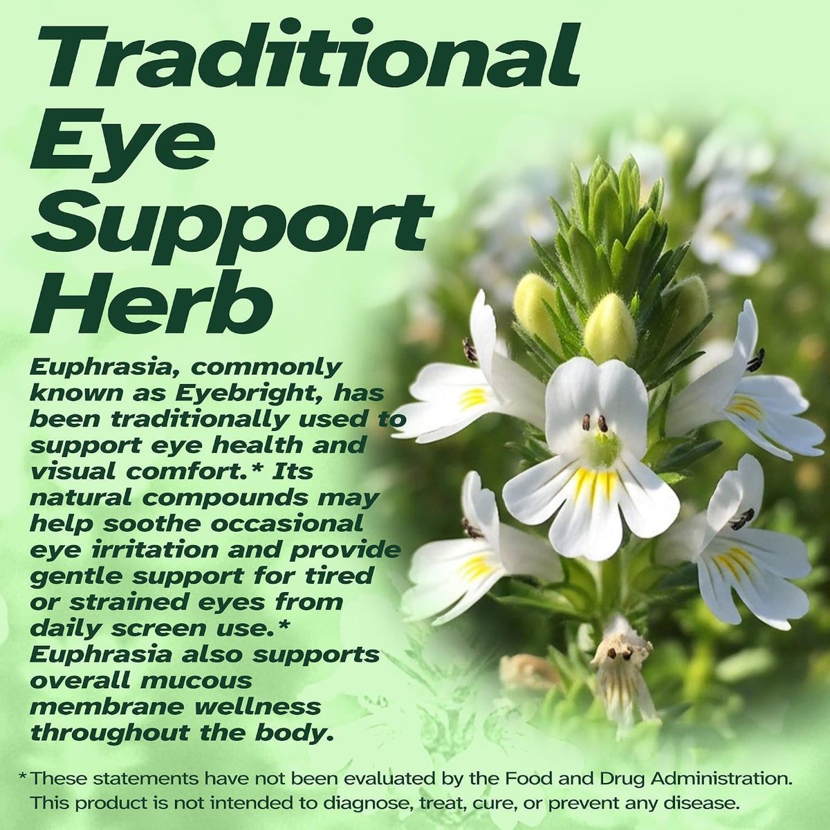 Eyebright Herbal Liquid with Organic Euphrasia, Lutein, Bilberry, Blueberry & Goji – Plant-Based Vegan Supplement for Adults – 2 fl oz