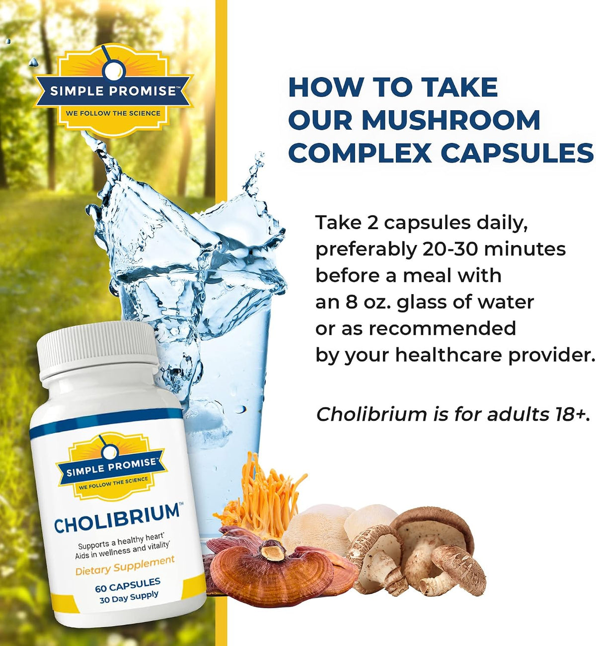 Cholibrium and CardioClear7 Bundle - Daily Energy - Mushroom Complex, CoQ10 | Mushroom-CoQ10 Pair, For Steady Daily Vitality, With Cordyceps and Shilajit, Three Capsules Daily, 30 Day Supply, Vegan