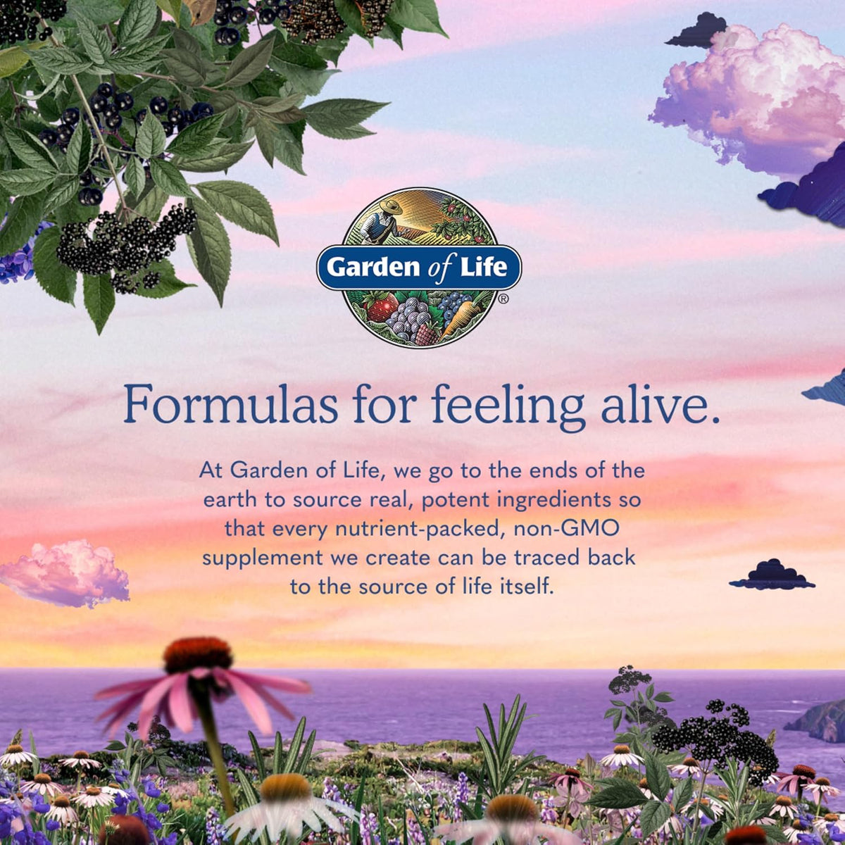Garden of Life Zinc Supplements 30mg High Potency Raw Zinc and Vitamin C Multimineral Supplement, Vitamin Code Vitamins Trace Minerals & Probiotics for Skin Health & Immune Support, 60 Vegan Capsules
