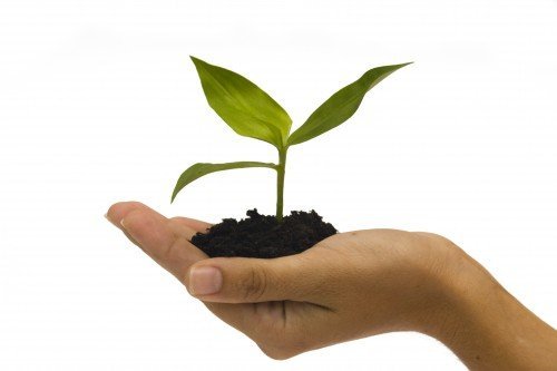 (6 Month Supply) Cassava Root - Fertility Supplement for Twins - Vitamin for a Natural Pregnancy