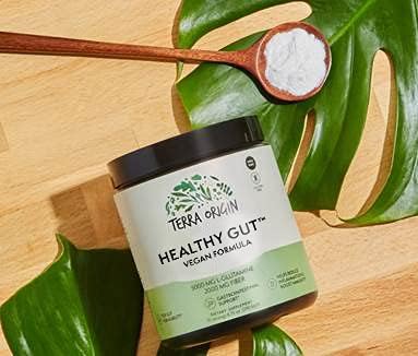 Healthy Gut Vegan Formula | with L-Glutamine and Clinically Proven ingredients | Supports Gut Permeability, gastrointestinal Support, Helps Alleviate Stomach discomfort and Boost Immunity*