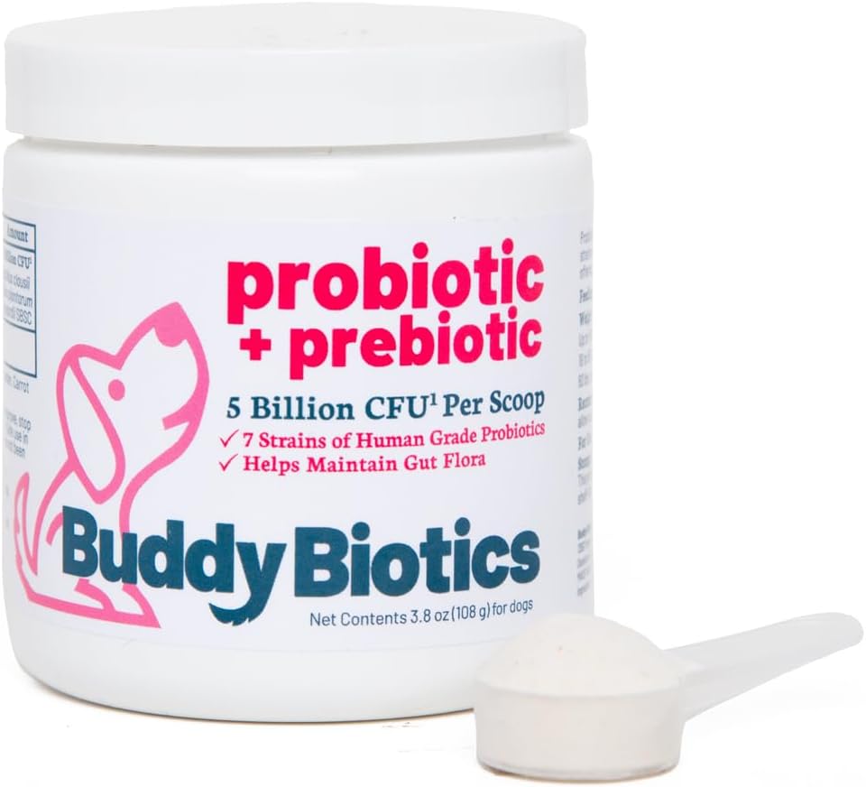 Probiotic + Prebiotic Powder for Dogs – 7 Probiotic Strains with Prebiotic FOS, Supports Gut Flora, Digestive & Immune Health, 5 Billion CFU per Scoop