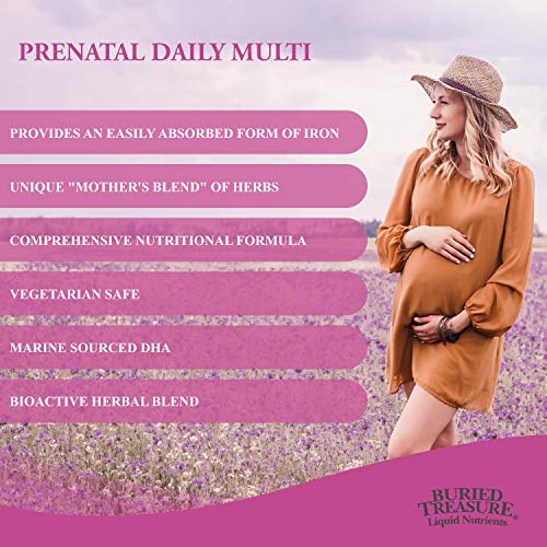 Buried Treasure Prenatal Plus DHA Complete, 16 oz Orange Banana Flavor, High Potency Liquid