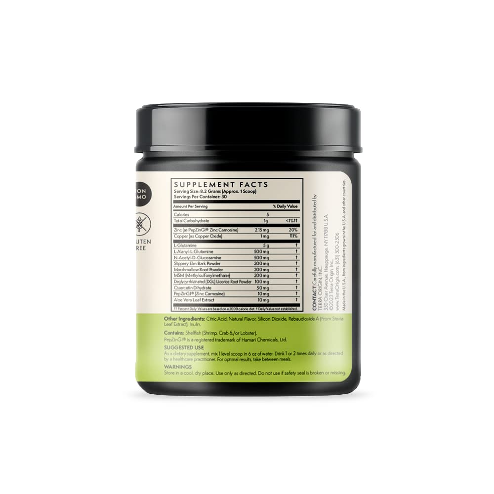 TERRA ORIGIN Healthy Gut Powder (Berry Flavor) |30-Servings with L-Glutamine, Zinc, Glucosamine, Slippery Elm Bark, Marshmallow Root and More!