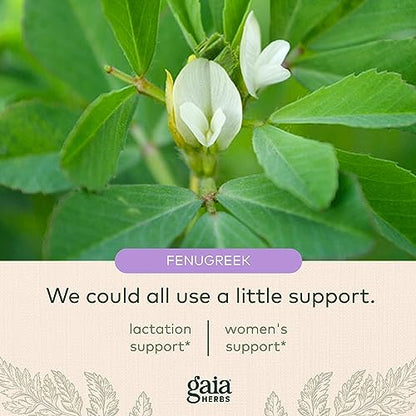 Gaia Herbs Fenugreek Seed - Helps Support Healthy Lactation and Breast Milk Production