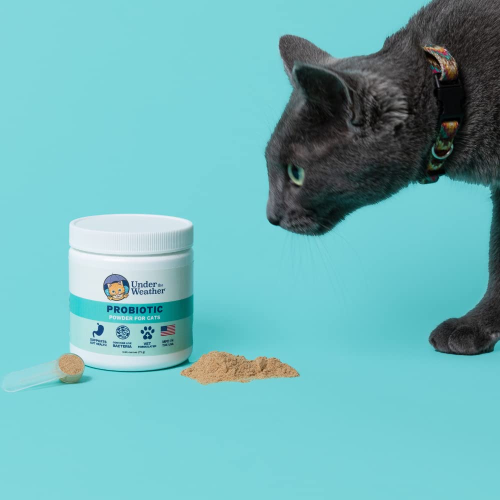 Under The Weather Pet Probiotic Chews for Cats | Promotes Normal Digestion, Balances Healthy Gut Health | 60 Star Shaped Soft Chews