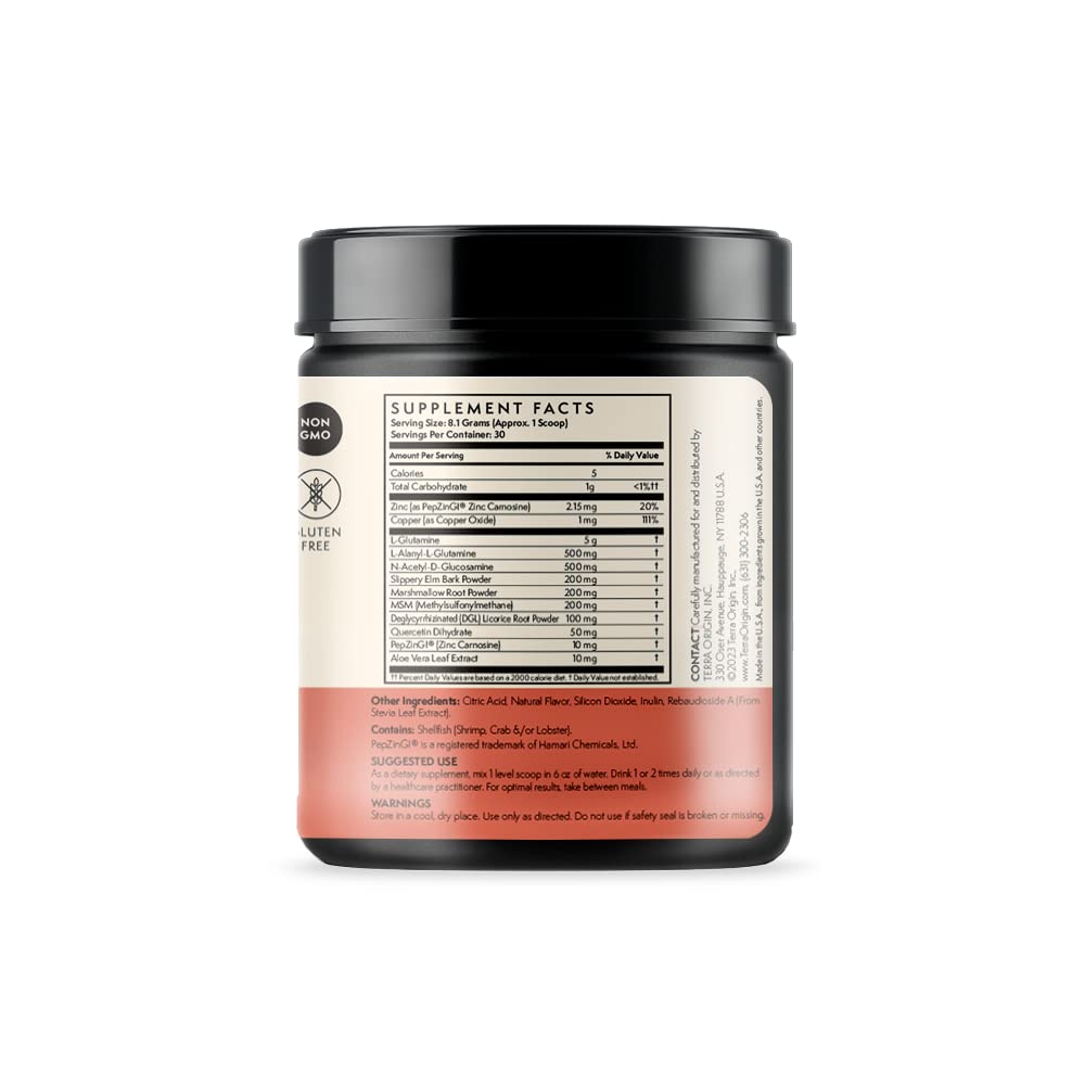 TERRA ORIGIN Healthy Gut Powder (Berry Flavor) |30-Servings with L-Glutamine, Zinc, Glucosamine, Slippery Elm Bark, Marshmallow Root and More!
