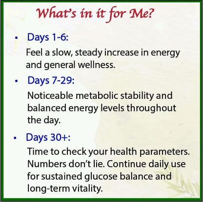 Bodymune Blood Sugar Blend – Organic Blood Sugar Support Supplement – with Bitter Melon Capsules, Moringa, & Black Seed Oil – 66 Capsules – USDA Organic, Vegan, Non-GMO