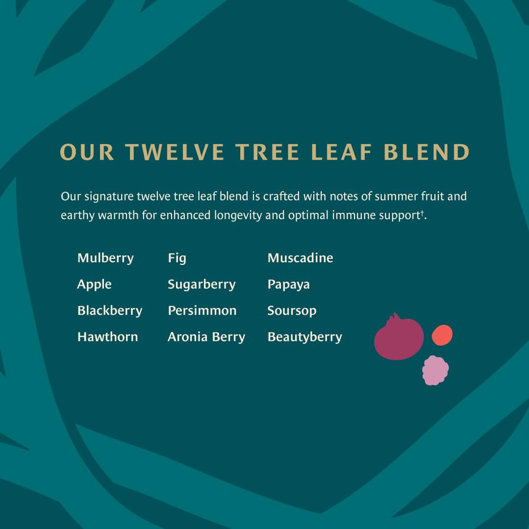 Healing Leaves, Longevity Blend Tea Bags- 30 Count | Biblically Inspired, 12 Fruit Tree Leaf Blend. Supports Digestion, Immune Function, Healthy Inflammation Response and Energy