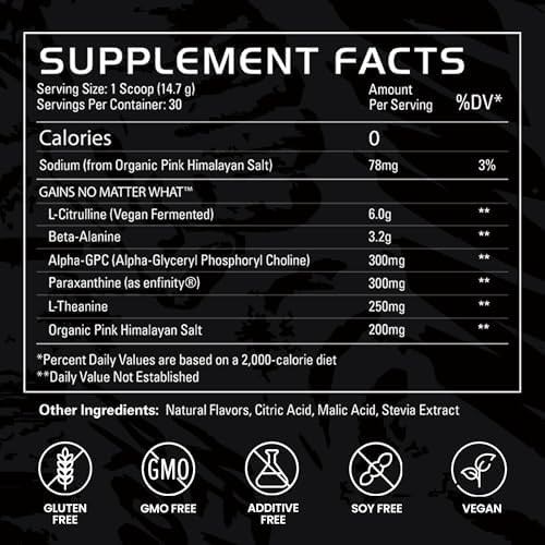 Gains in Bulk Instantized Creatine & No Matter What Pre Workout Powder Bundle, Soluble Creatine Powder, Paraxanthine, Amino Acids & L Theanine, 60 Servings