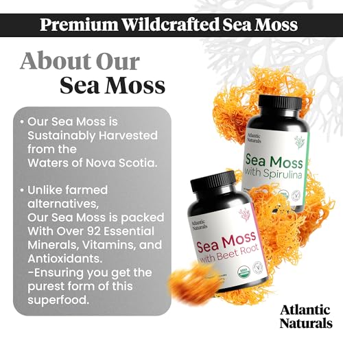 Atlantic Naturals Sea Moss Superfood Bundle - Sea Moss with Beet Root & Spirulina Capsules - Defense Support, Blood Flow, Joint Health & Iron - 240 Capsules (2 x 120 ct)