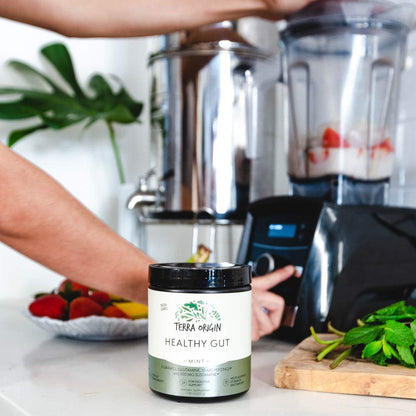 TERRA ORIGIN Healthy Gut Powder (Berry Flavor) |30-Servings with L-Glutamine, Zinc, Glucosamine, Slippery Elm Bark, Marshmallow Root and More!