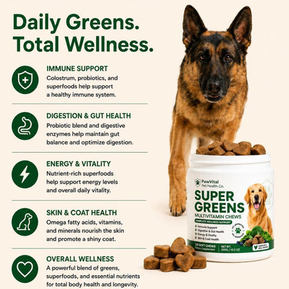 Super Greens Multivitamin Chews for Dogs – Dog Vitamins with Spirulina, Chlorella, Probiotics – Daily Dog Multivitamin for Immune Support, Gut Health, Skin & Coat – Beef Liver Flavor – 120 Soft Chews