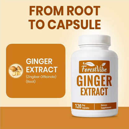 Ginger Root Capsules 1000mg, Potent Ginger Extract Powder, 120 Vegan Capsules, 2 Month Supply, Non-GMO and Gluten Free Ginger Supplement