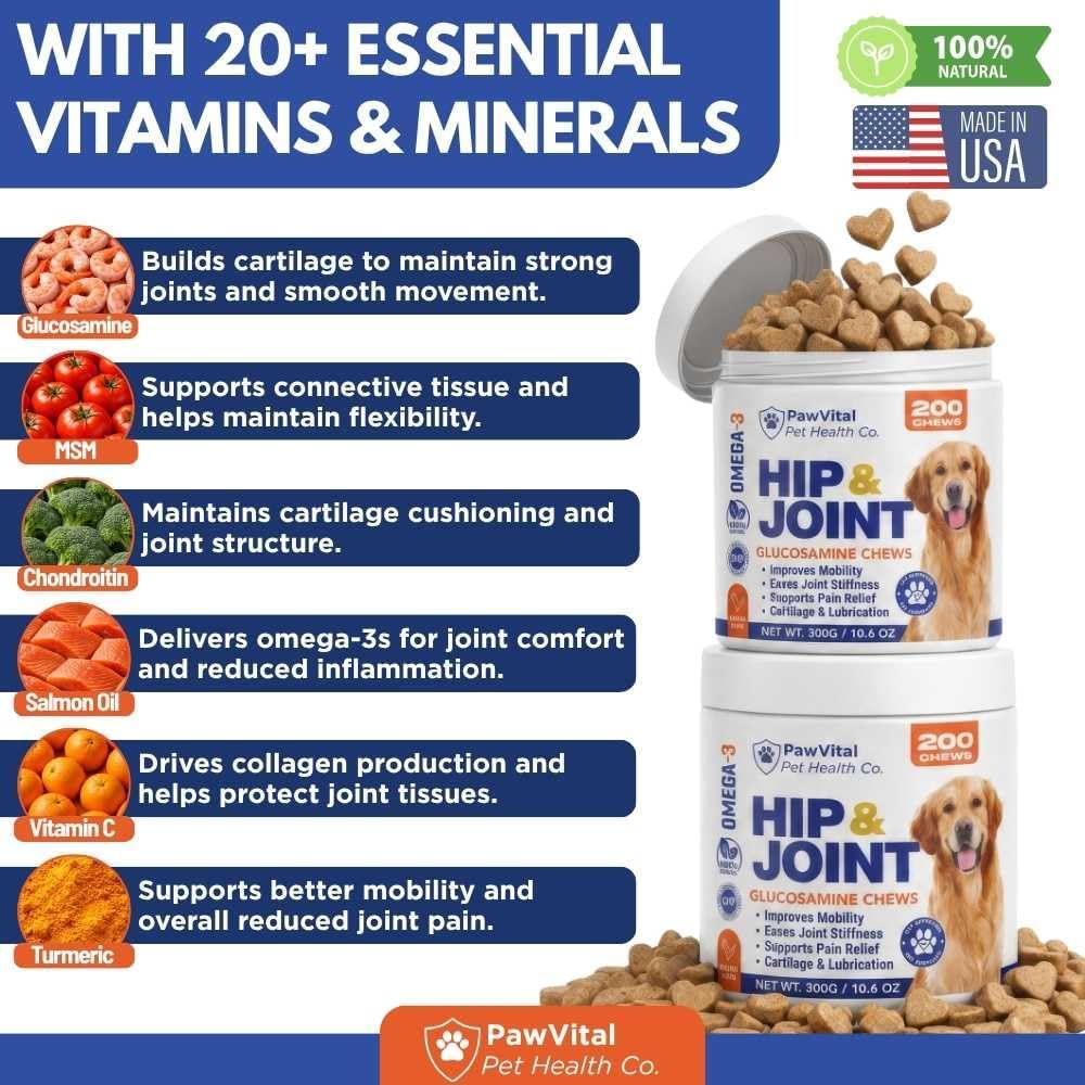 Hip and Joint Supplement for Dogs – Glucosamine Chondroitin MSM Chews for Dogs with Eggshell Membrane & Omega-3 – Joint Pain Relief & Mobility Support for Senior Dogs – 200 Chicken Flavored Soft Chews