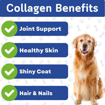 Collagen & Bone Broth for Dogs – Hip + Joint Support, Gut Health for Hair, Skin & Nails – with Glucosamine, MSM, Chondroitin, Turmeric – Natural Treats Made with Real Chicken & Beef