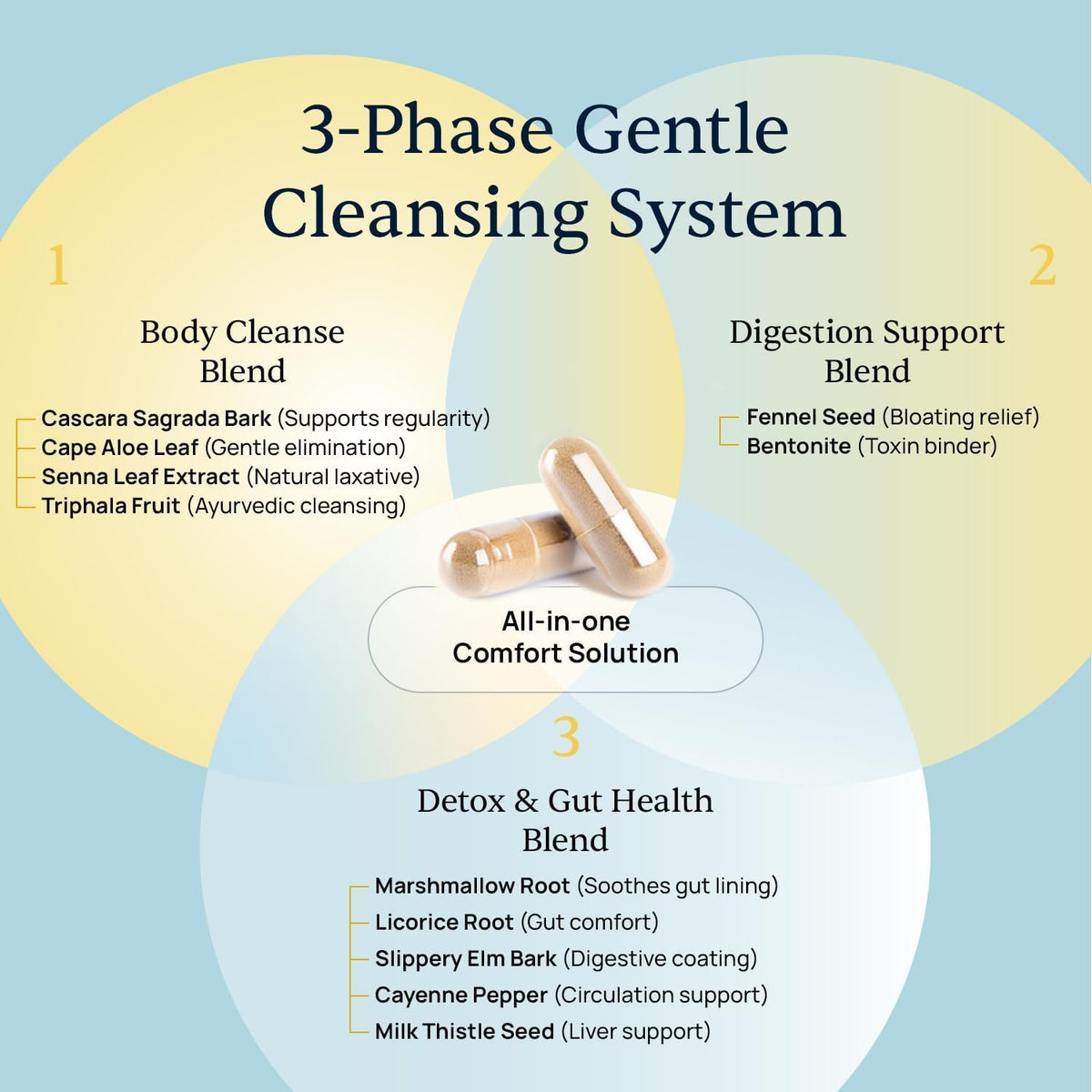 BellyFlush - Gut & Colon Cleanse Capsules For Adults - Bentonite Clay | 3-Phase Gentle Cleanse, Constipation & Bloating Relief, Milk Thistle Blend, Simple 2-Capsule Routine, Non-GMO