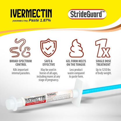 Horse Ivermectin Paste 1.87% – Apple Flavored Oral Horse Dewormer Syringe – 6.08g Tube Treats Horses Up to 1250 LB [Pack-12]