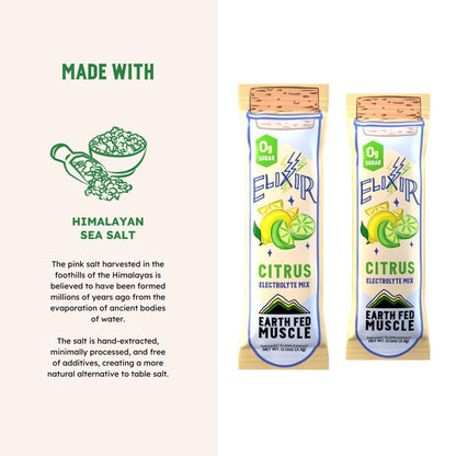 Earth Fed Muscle Elixir Electrolyte Powder Packets - Berry Flavor with Himalayan Sea Salt - Sugar Free, Stevia Sweetened - 3X Electrolytes - 30 Single Serve Hydration Drink Mix Sticks
