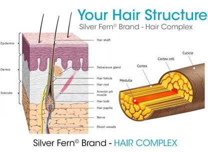 Silver Fern Hair Complex - Hair Supplement for Promoting Healthy Hair | Each Bottle Contains a 30-Day Powder Supply - 1 Bottle