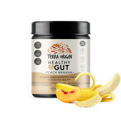 TERRA ORIGIN Healthy Gut Powder (Berry Flavor) |30-Servings with L-Glutamine, Zinc, Glucosamine, Slippery Elm Bark, Marshmallow Root and More!
