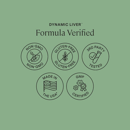 Stonehenge Health Dynamic Liver – Siliphos Milk Thistle Formula – Liver Support & Antioxidant Support, Gut-Liver Axis, Selenium, Zinc, Vitamin E, Ginger, Beetroot Extract Non-GMO, 60 Veg Caps (2 Pack)