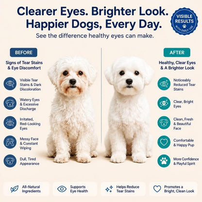 Tear Stain Chews for Dogs – Natural Tear Stain Remover & Eye Health Supplement with Cranberry, Lutein & Eyebright – Reduces Tear Stains, Supports Vision & Promotes Clear Eyes – 90 Soft Chews