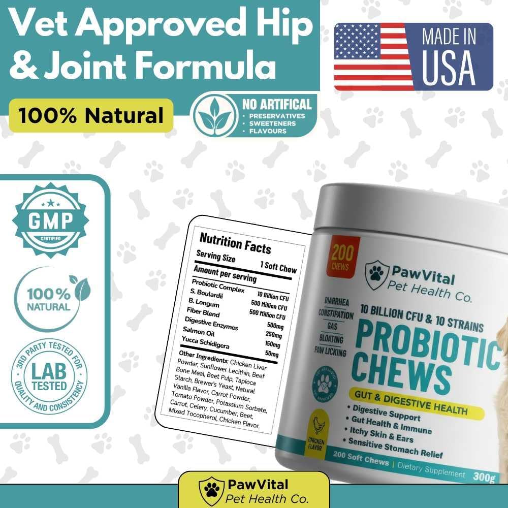 Dog Probiotic Chews for Digestive Health – Probiotics for Dogs with 10 Billion CFU, Prebiotics, Digestive Enzymes – Gut Health, Yeast, Itchy Skin & Itchy Ears – Diarrhea & Constipation – 200 Chews
