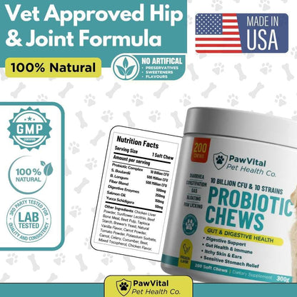 Dog Probiotic Chews for Digestive Health – Probiotics for Dogs with 10 Billion CFU, Prebiotics, Digestive Enzymes – Gut Health, Yeast, Itchy Skin & Itchy Ears – Diarrhea & Constipation – 200 Chews