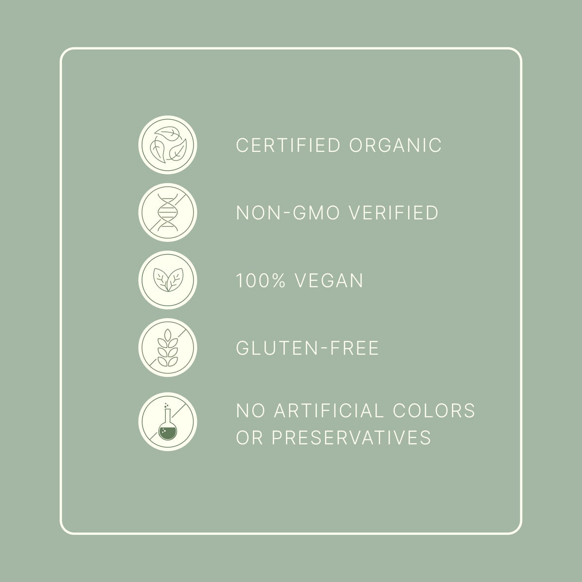 Dr. Murray's USDA Organic Plant Based Protein Powder | 20g Protein | 6g Fiber | Vegan & Keto | Gluten & Dairy Free | Low Carb | No Added Sugar | Matcha, 1 lb.