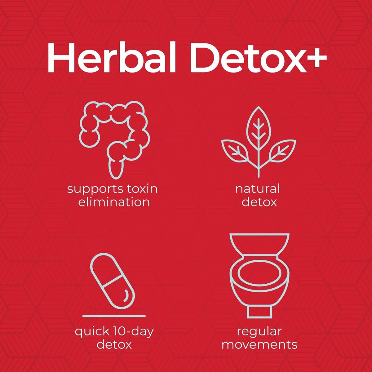 Health Plus Herbal Detox+ (10-Day Cleanse) 40 Capsules, 20 Servings | Herbal 10-day cleanse formula; supports the body's natural detoxification processes and everyday digestive wellness
