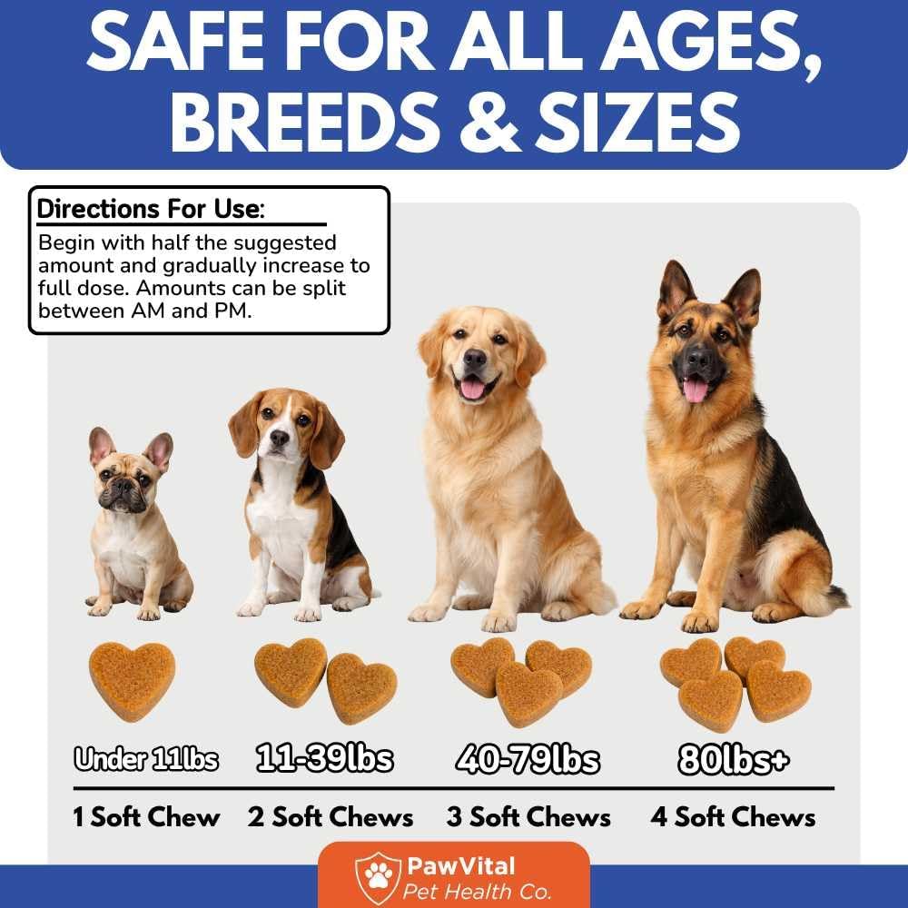 Hip and Joint Supplement for Dogs – Glucosamine Chondroitin MSM Chews for Dogs with Eggshell Membrane & Omega-3 – Joint Pain Relief & Mobility Support for Senior Dogs – 200 Chicken Flavored Soft Chews