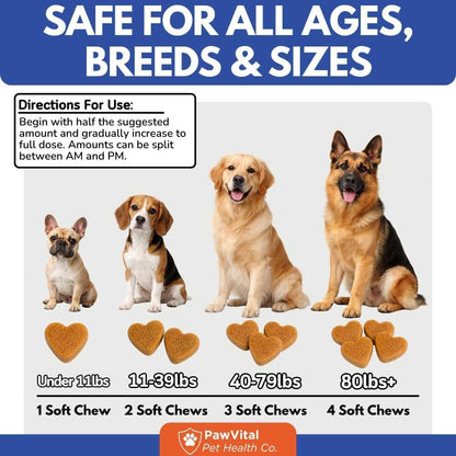Hip and Joint Supplement for Dogs – Glucosamine Chondroitin MSM Chews for Dogs with Eggshell Membrane & Omega-3 – Joint Pain Relief & Mobility Support for Senior Dogs – 200 Chicken Flavored Soft Chews