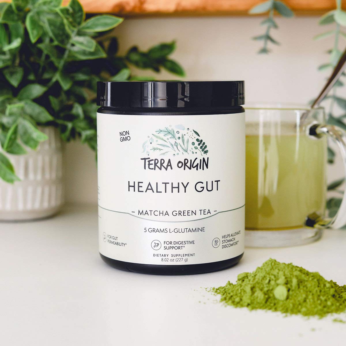 TERRA ORIGIN Healthy Gut Powder (Berry Flavor) |30-Servings with L-Glutamine, Zinc, Glucosamine, Slippery Elm Bark, Marshmallow Root and More!