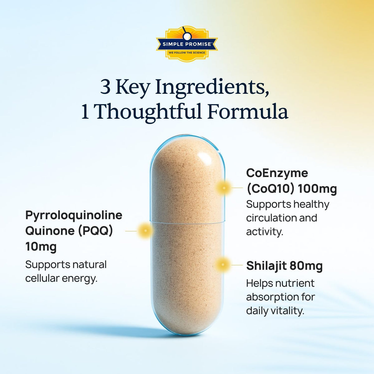 CardioClear7 - Coq10 PQQ Heart Supplement - Shilajit for Daily Wellness | 3-in-1 Heart Support, For Energy & Circulation, Enhanced Absorption With Shilajit, One Capsule Daily, 30 Day Supply