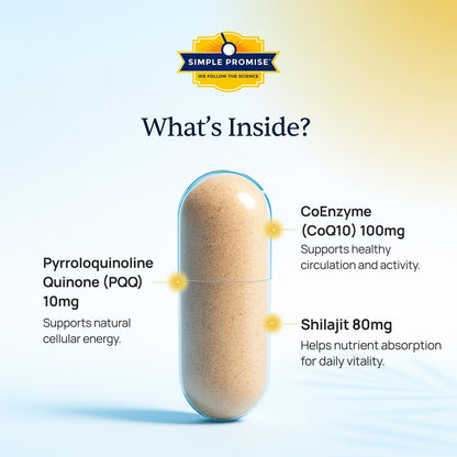 CardioClear7 and BellyFlush Bundle - Gut Support - CoQ10 and Bentonite Clay | Heart-Gut Daily Pair, For Steady Energy and Lighter Days, With Milk Thistle and Shilajit, One of Each Daily