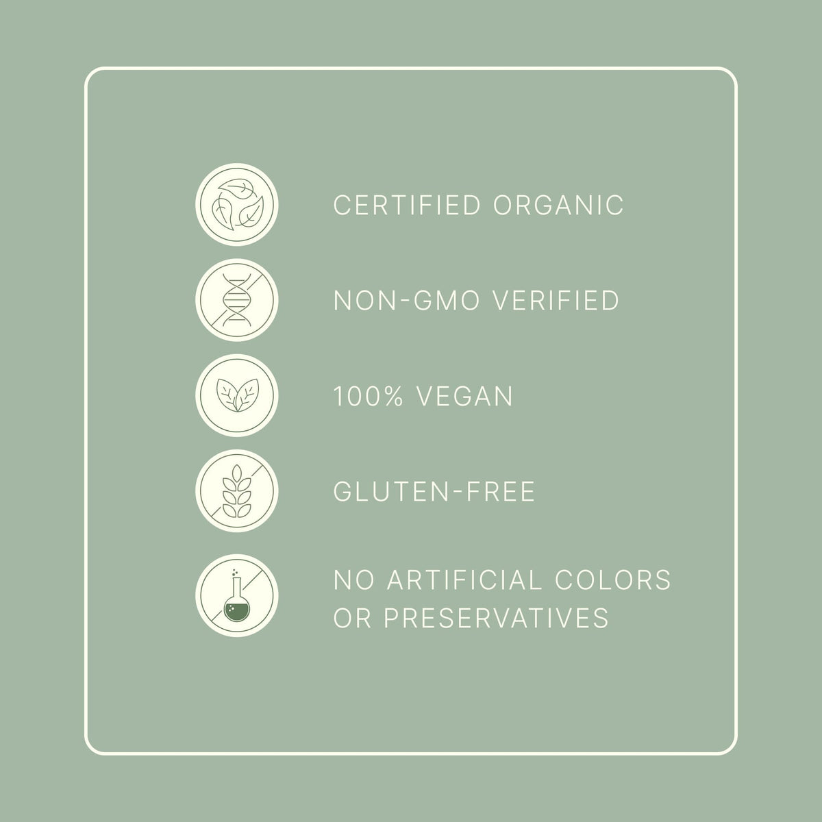 Dr. Murray's USDA Organic Plant Based Protein Powder | 20g Protein | 6g Fiber | Vegan & Keto | Gluten & Dairy Free | Low Carb | No Added Sugar | Matcha, 1 lb.