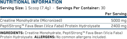an Performance Creatine Monohydrate + Peptide | Micronized Powder | 5g Creatine, 2.4g PeptiStrong | Vegan, Gluten-Free, Non-GMO | Workout Supplement for Men & Women | Unflavored | 60 Servings
