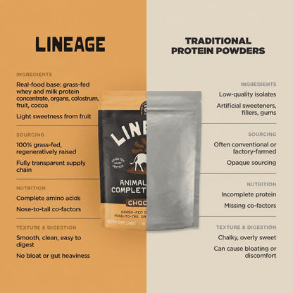 Lineage Provisions Chocolate Whey Protein Powder, 3.09 lbs | 20g complete grass-fed protein with organs, colostrum & fruit. No gums, fillers or artificial sweeteners.