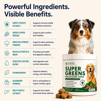Super Greens Multivitamin Chews for Dogs – Dog Vitamins with Spirulina, Chlorella, Probiotics – Daily Dog Multivitamin for Immune Support, Gut Health, Skin & Coat – Beef Liver Flavor – 120 Soft Chews
