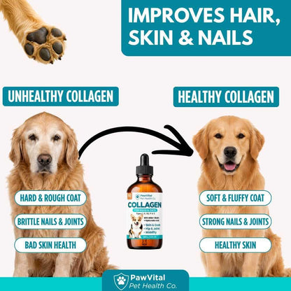 Liquid Collagen for Dogs – 1000mg 5 Types Grass-Fed Collagen Peptides (I, II, III, V & X) with MSM, Glucosamine, Chondroitin, Hyaluronic Acid – Skin & Coat, Itch Relief, Hip & Joint Support – 4oz