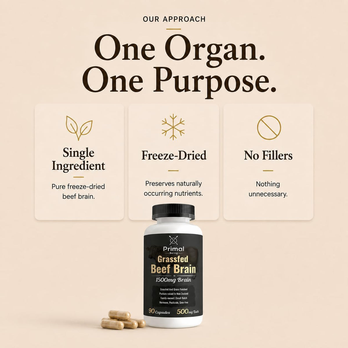 Primal Being Grassfed Beef Brain, Supports Memory, Mood, Focus, Energy, Cognitive Health - 90 Capsules, 1500mg per Serving