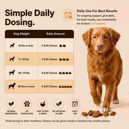 Lipoma Treatment for Dogs – Lumps & Bumps Support, Helps Reduce Fatty Tumors, Turkey Tail Mushroom Chews for Immune Health with L Carnitine, Chicken Flavor, 150 Soft Chews