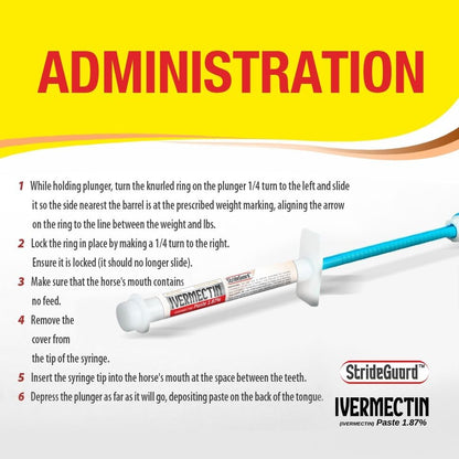Horse Ivermectin Paste 1.87% – Apple Flavored Oral Horse Dewormer Syringe – 6.08g Tube Treats Horses Up to 1,250 lbs [Pack-1]