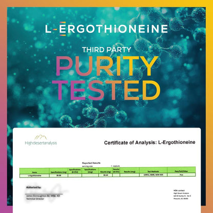 Ideal Infusion Fermentation Based L-Ergothioneine 30mg: Longevity Vitamin, Antioxidant, Anti-Aging, Heart & Brain Health, 60 Servings, Vegan
