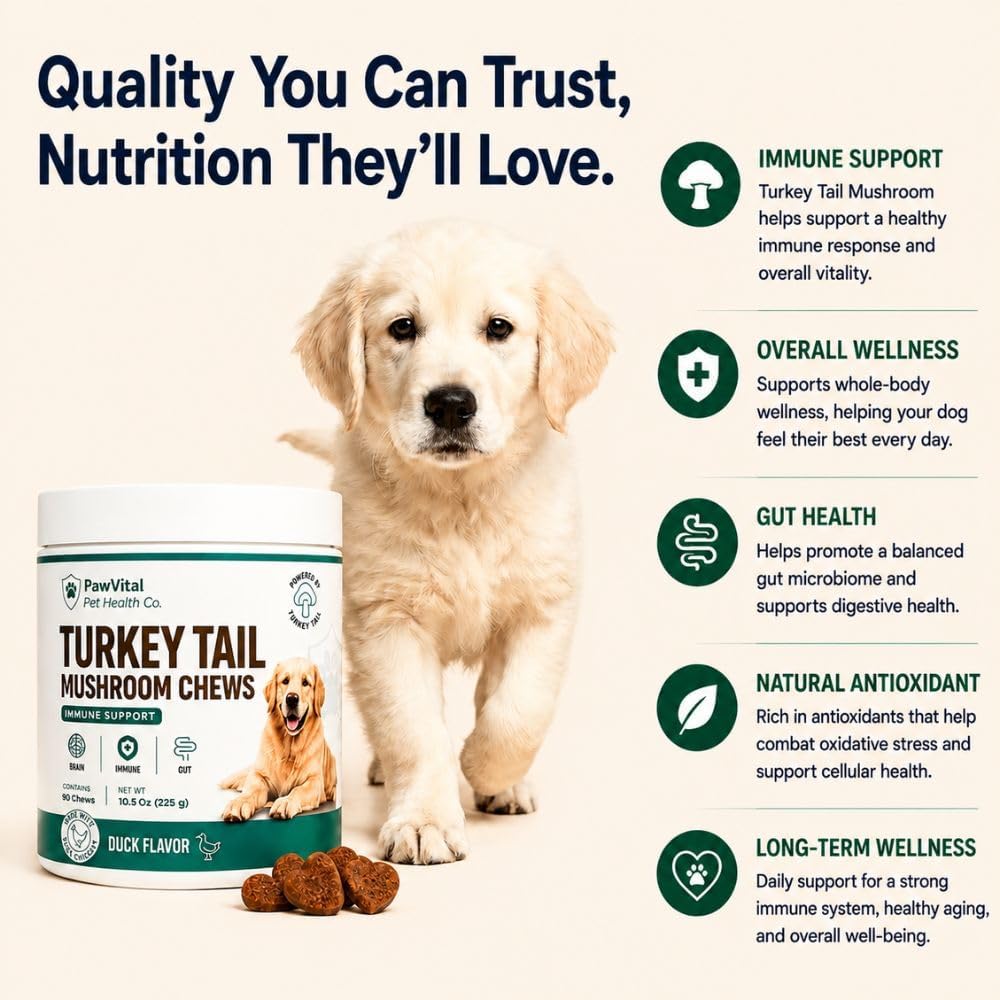 Turkey Tail Mushroom for Dogs – Mushroom Chews with Reishi & Probiotics – Dog Vitamins & Supplements for Immune Support, Gut Health, Brain Function & Daily Wellness – Duck Flavor – 90 Soft Chews