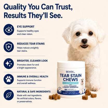 Tear Stain Chews for Dogs – Natural Tear Stain Remover & Eye Health Supplement with Cranberry, Lutein & Eyebright – Reduces Tear Stains, Supports Vision & Promotes Clear Eyes – 90 Soft Chews